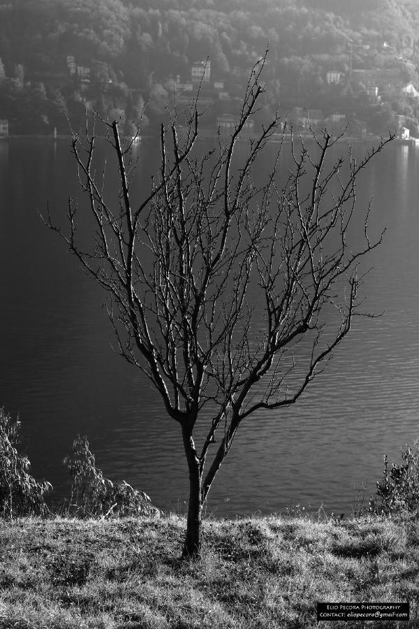 Appartamenti Monti Como Lake Brunate Exteriör bild